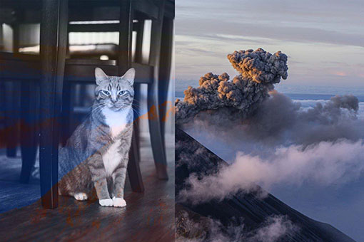 Das Bild kann im Moment nicht geladen werden